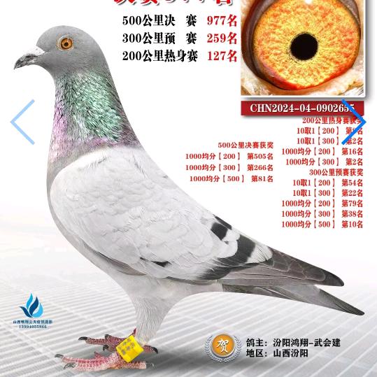 笑着过好每一天🇨🇳