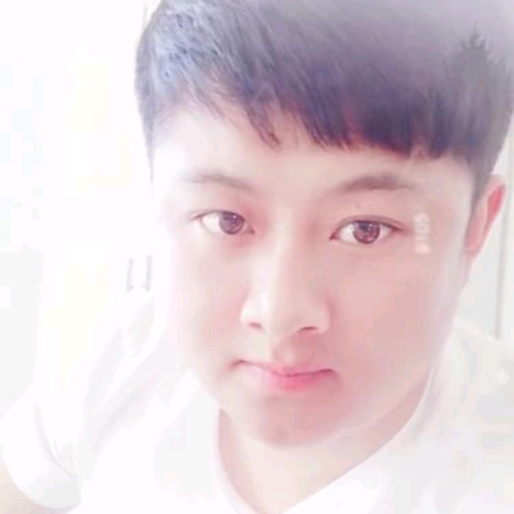动力1156