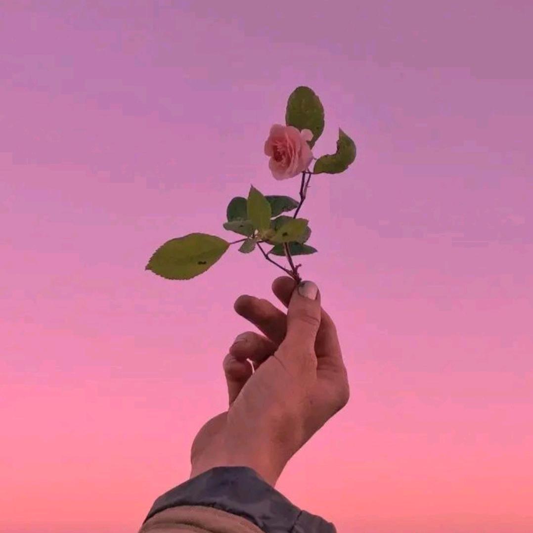 悦悦麻