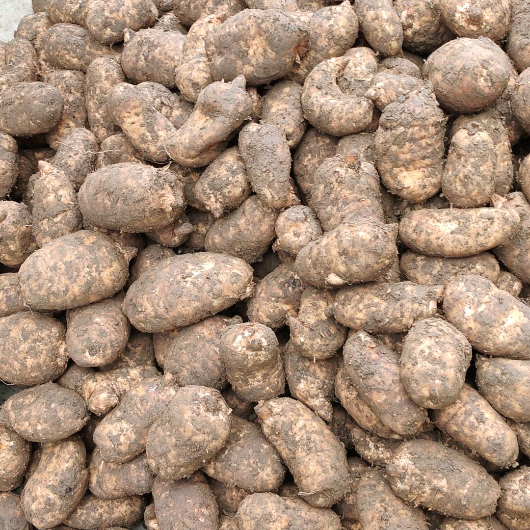 彝良星福喜农产优品店