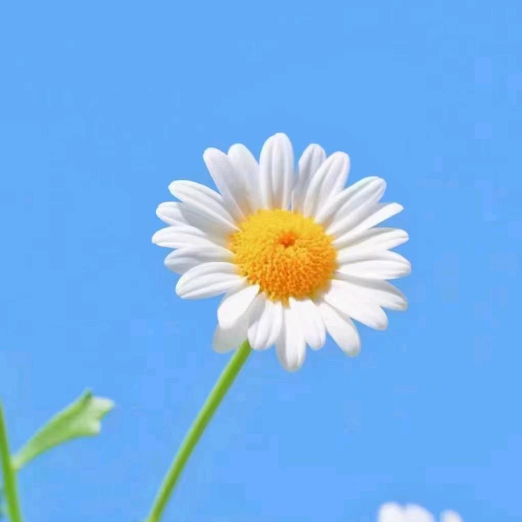 美好的一天！加油！⊙ω⊙