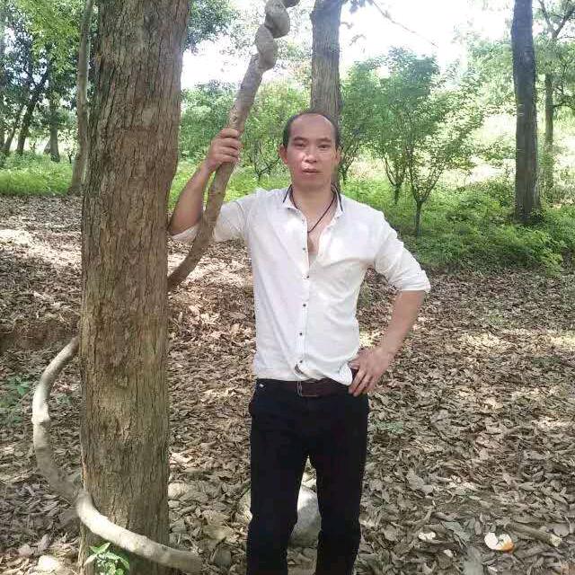 明月