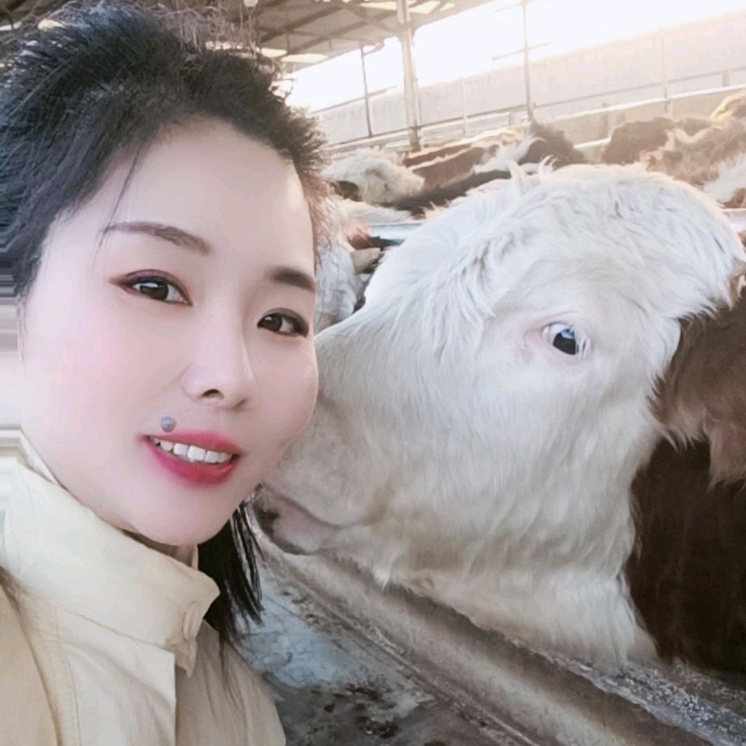 牛管家小芳
