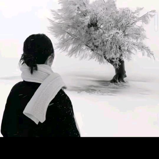清欢度