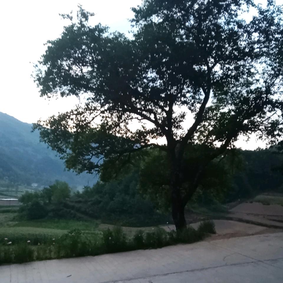 百感ԅ(¯ㅂ¯ԅ)人生