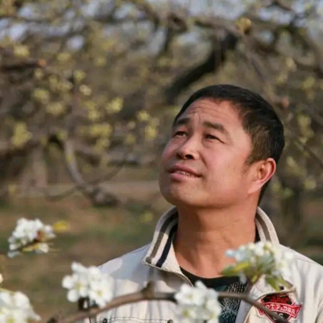 博野毛哥
