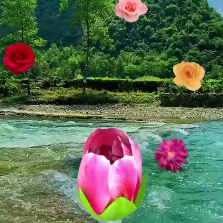 福星88888888