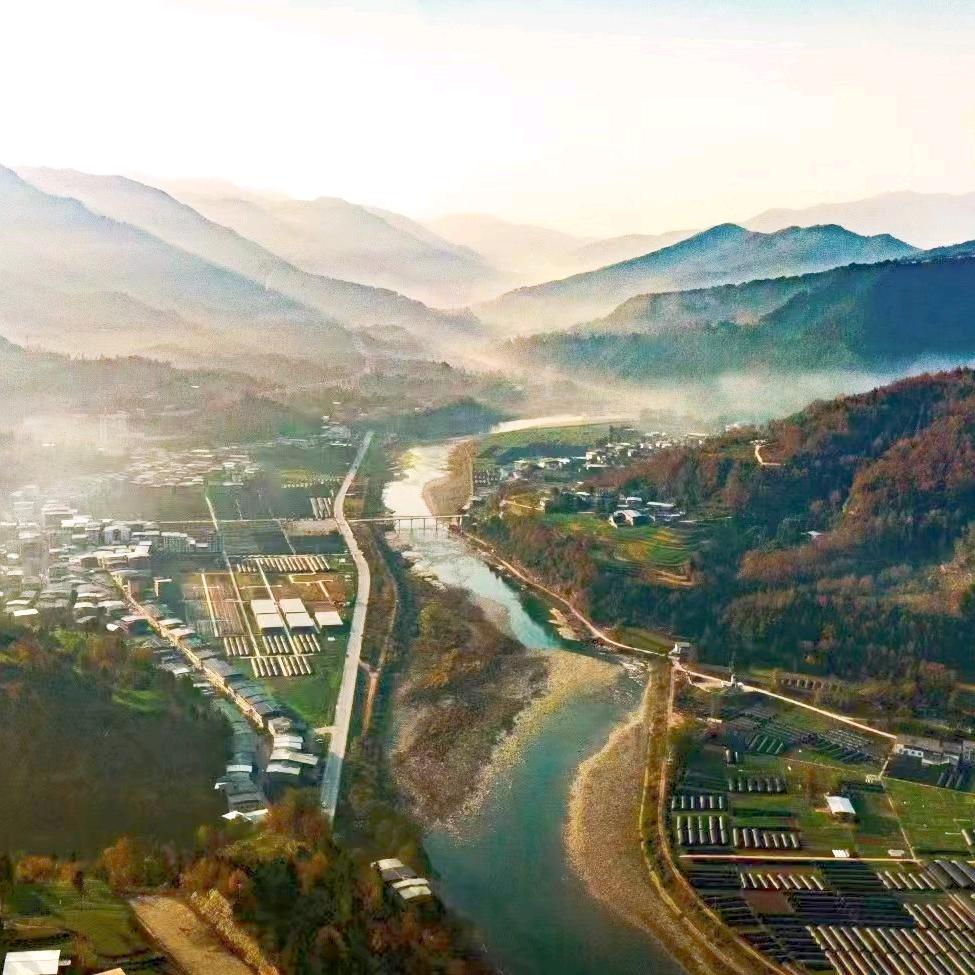 魅力新场