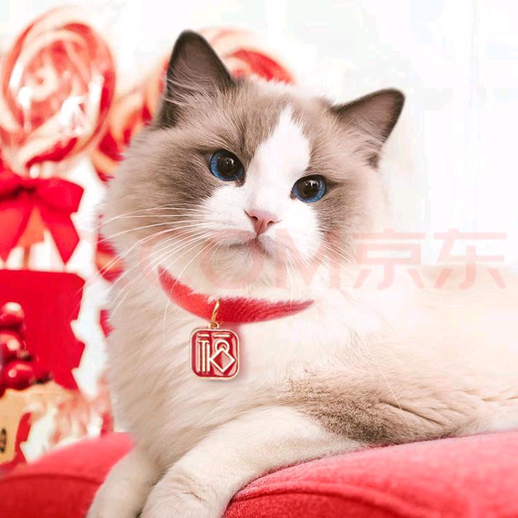 చ🚬伤感ৡᩚꦿꦼ与酒এ᭄