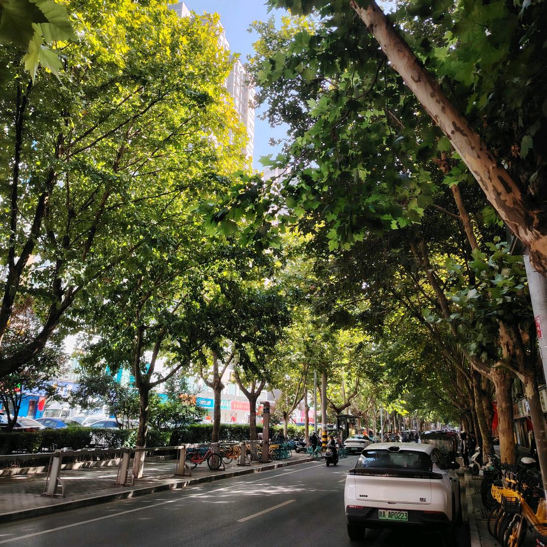 一无所有