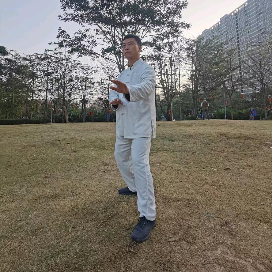 养生太极张老师(每早9点30直播)