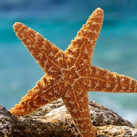 开心快乐每一天💝💝💝