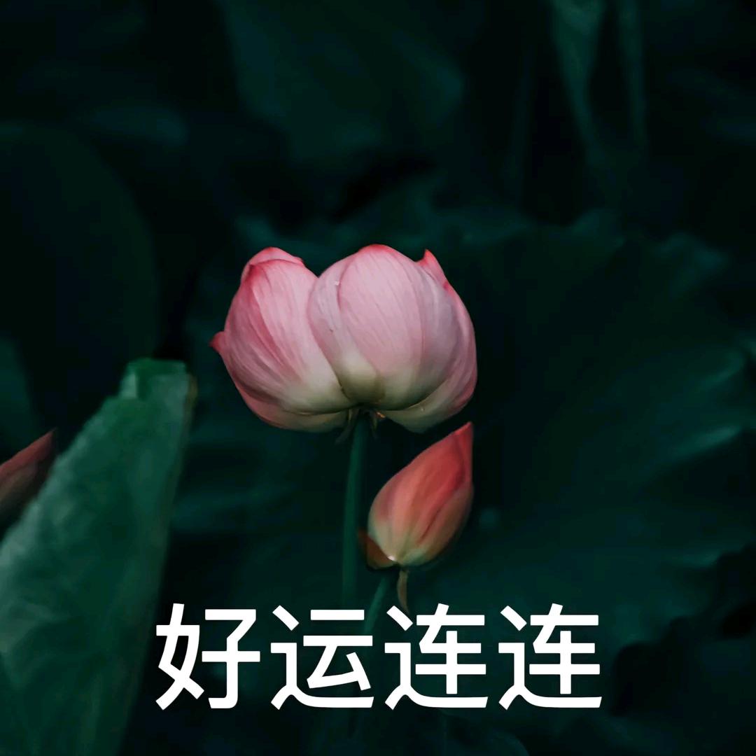 @命中注定