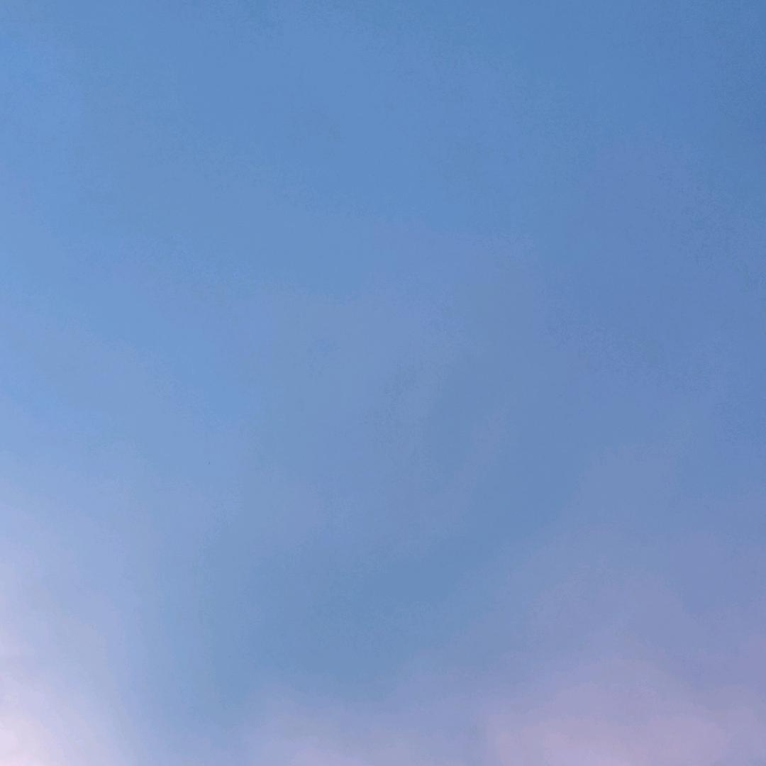 丽