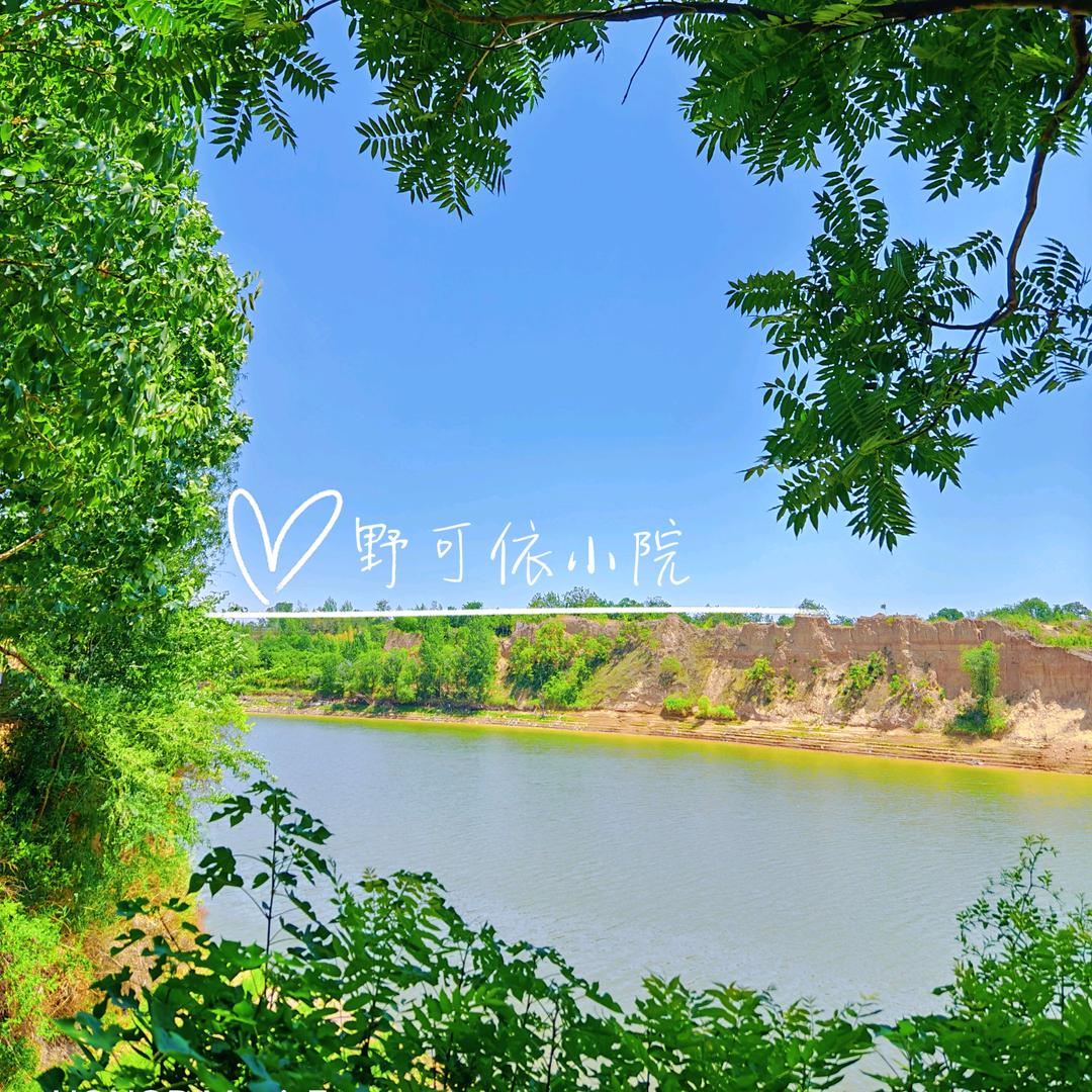 野可依小院的院