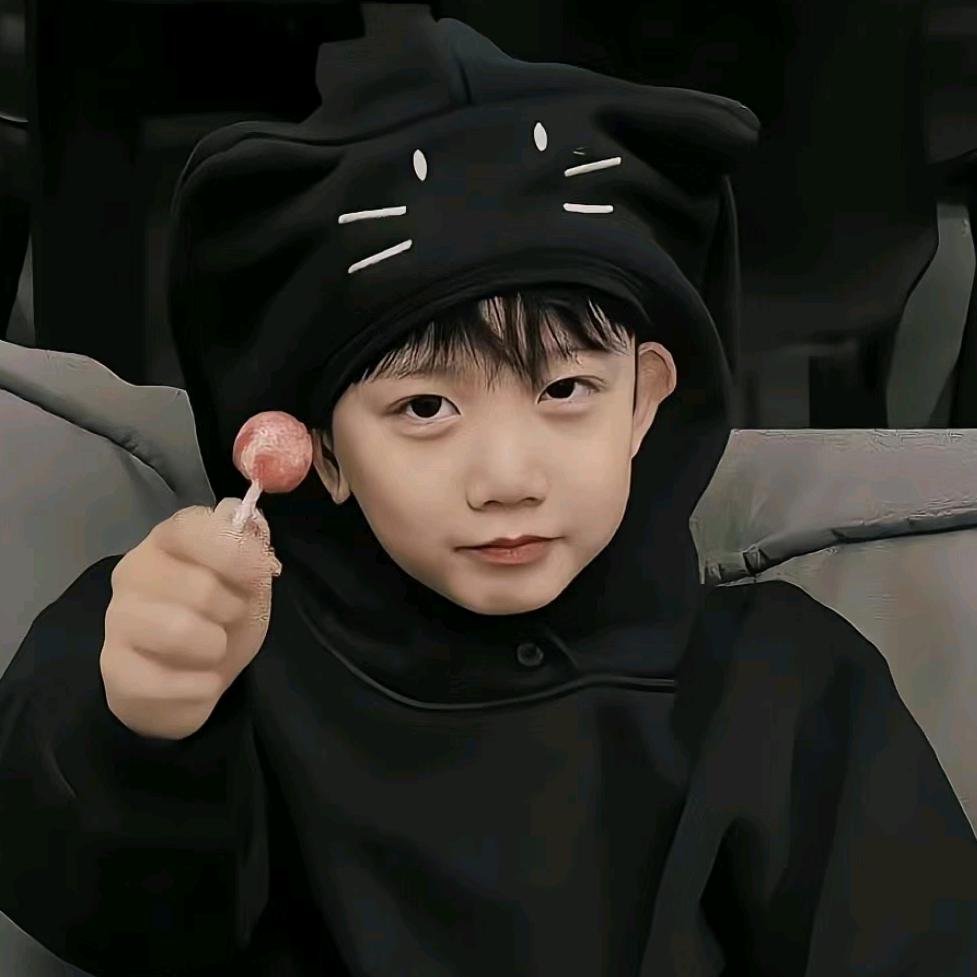 低谷有雾🐾