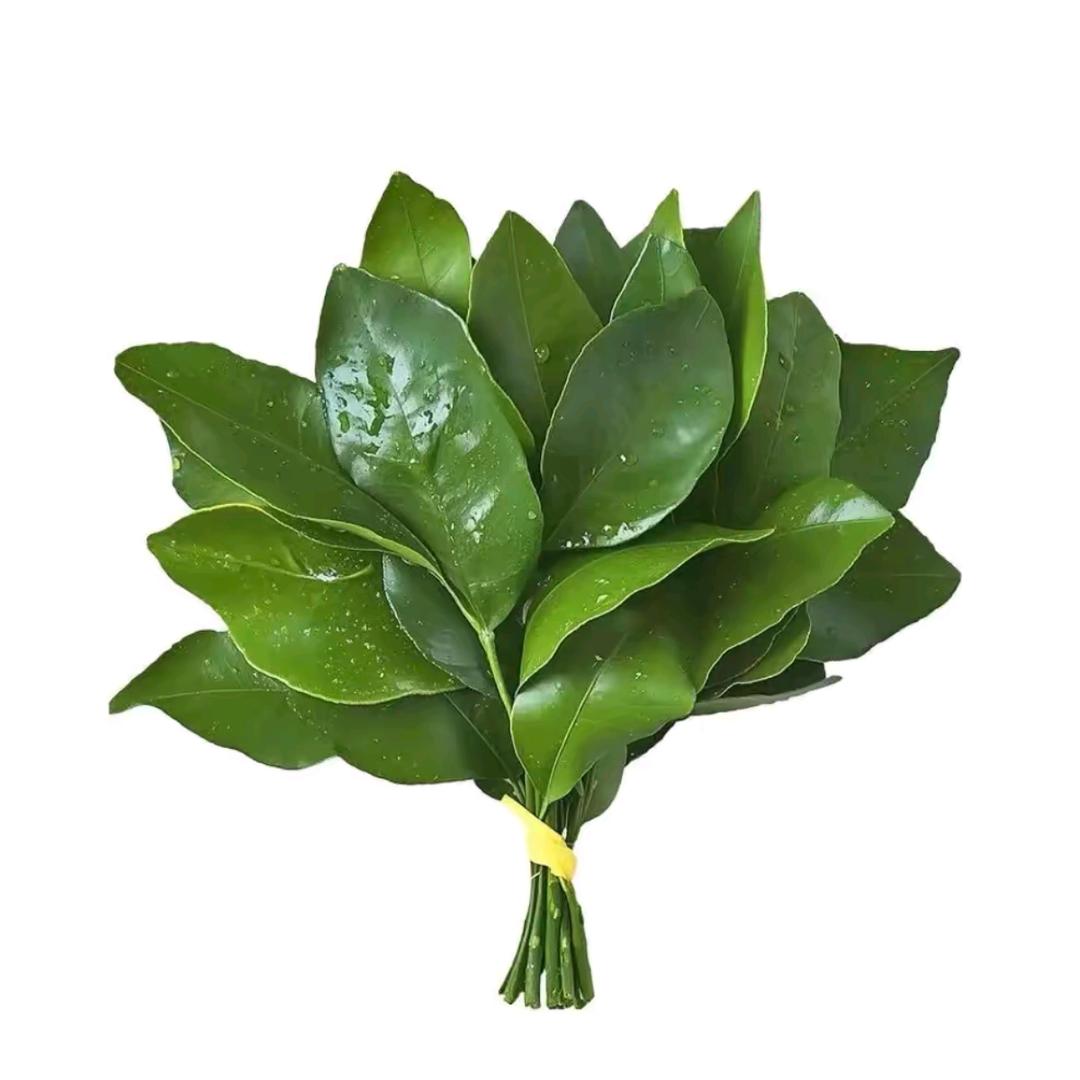 周沫沫儿