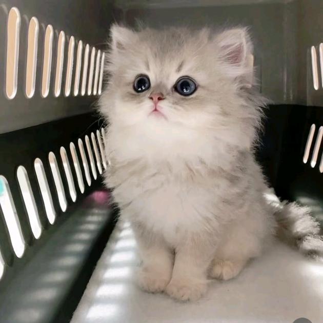 熙杰家居生活小屋