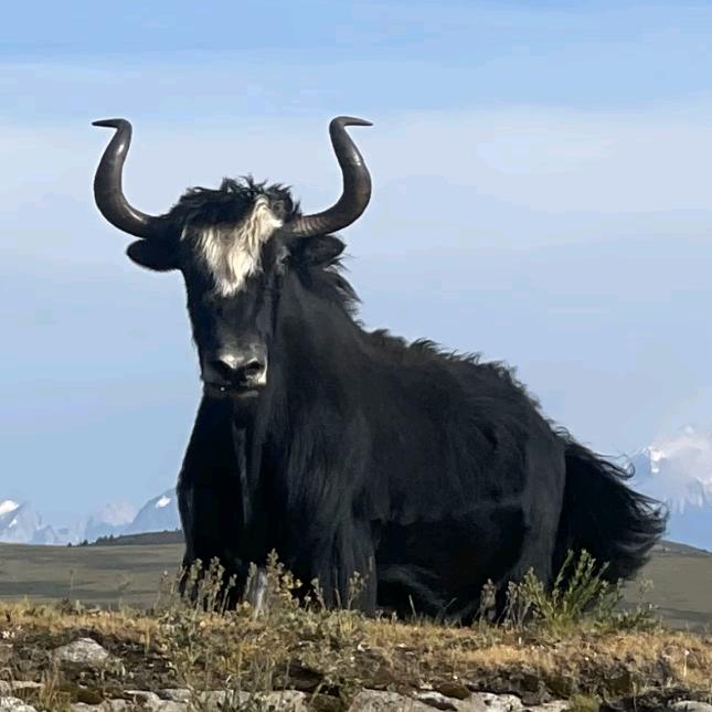 每天得喝八杯水