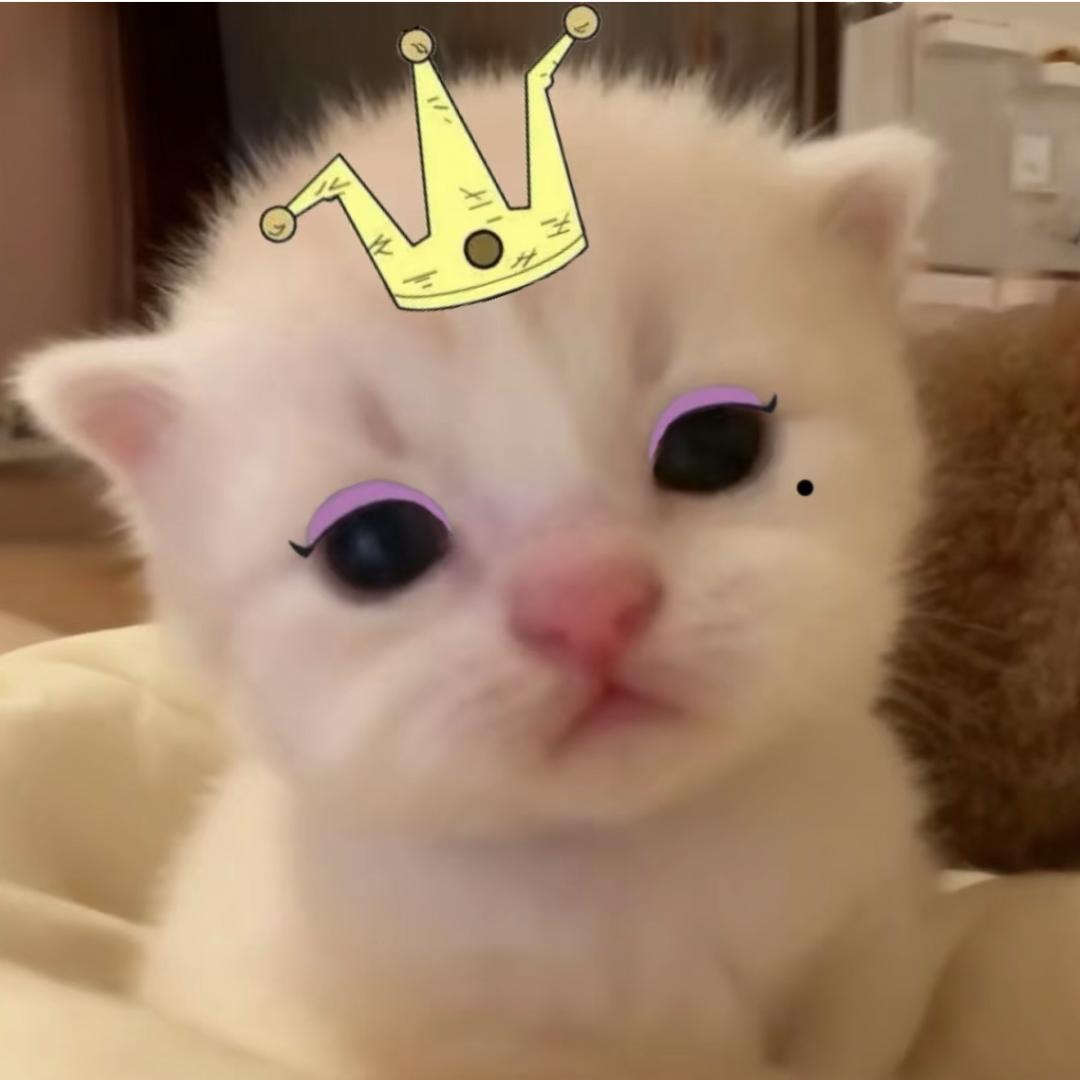 有一只郑小狗🐾