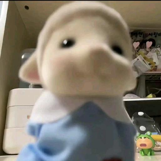 超级金扬帆起航✨