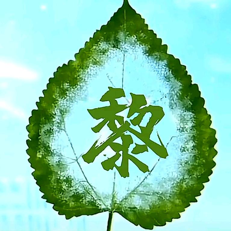 若&只如初见丶