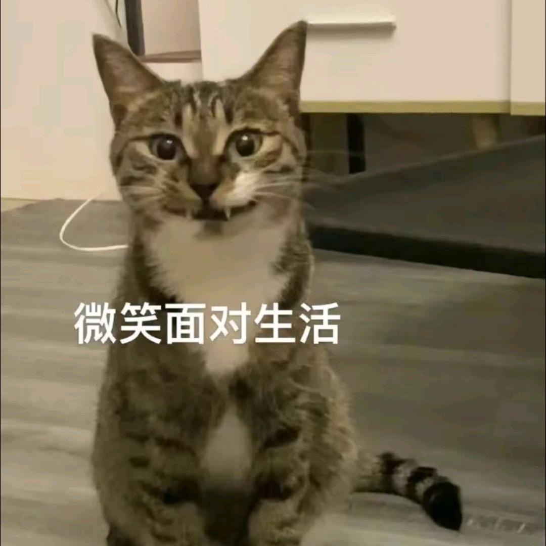 苟看长生书