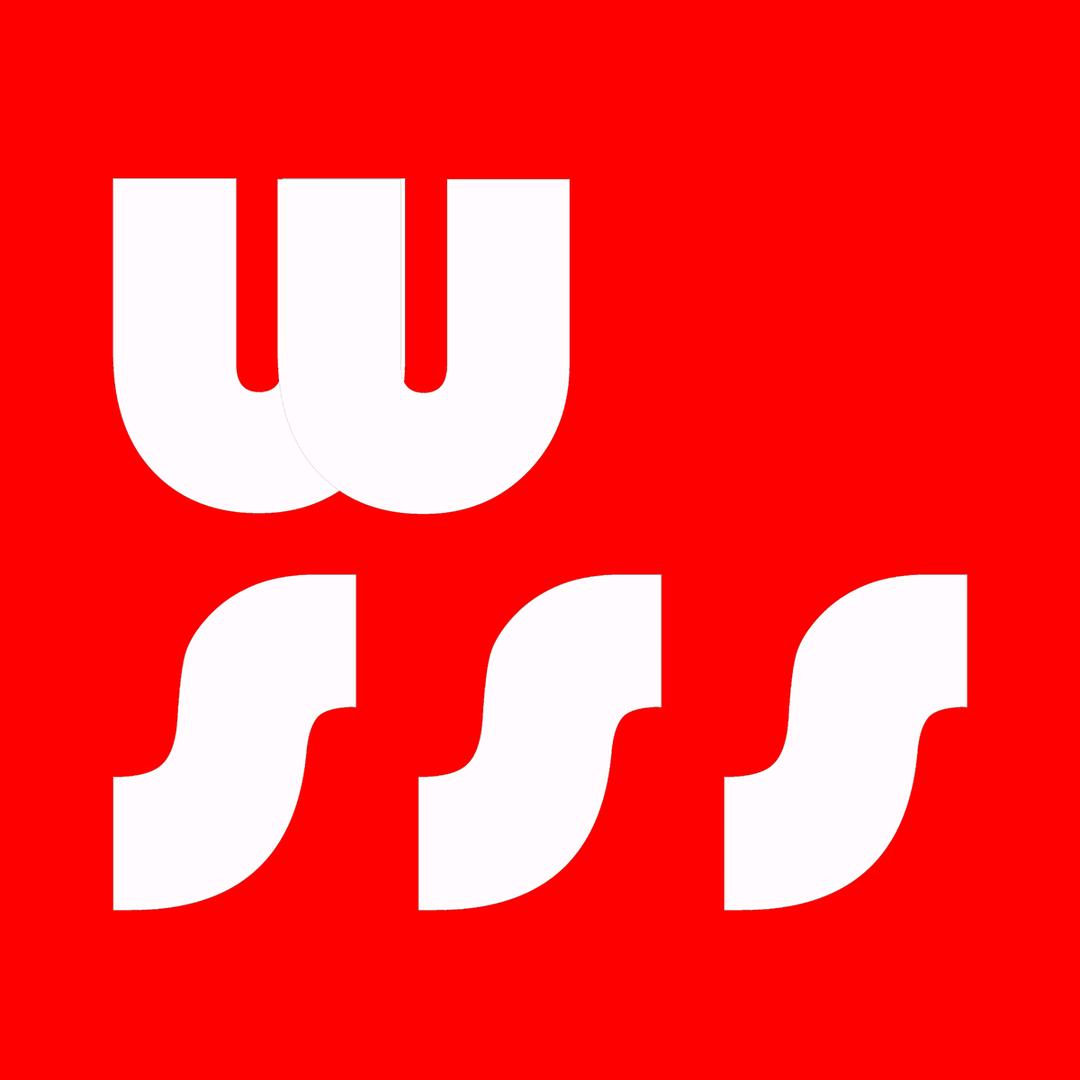 Wsss模玩