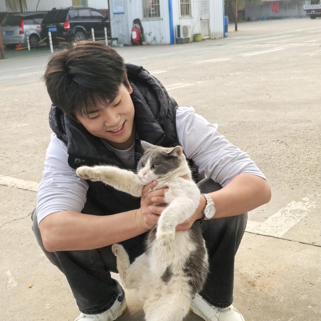 胆小的森