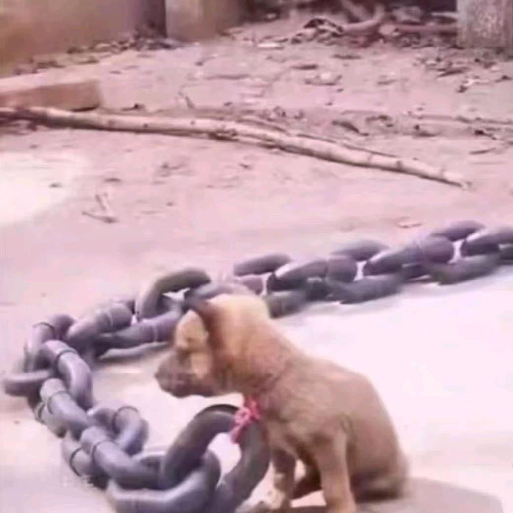 各种执行难题解决