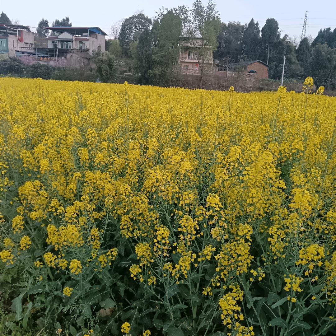 火车司机,为什么不穿制服呢