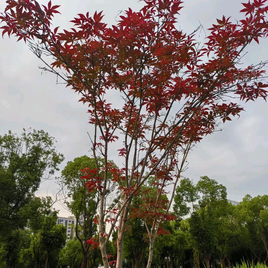 ໑ຼₒ₂₅ღ᭄朱💕