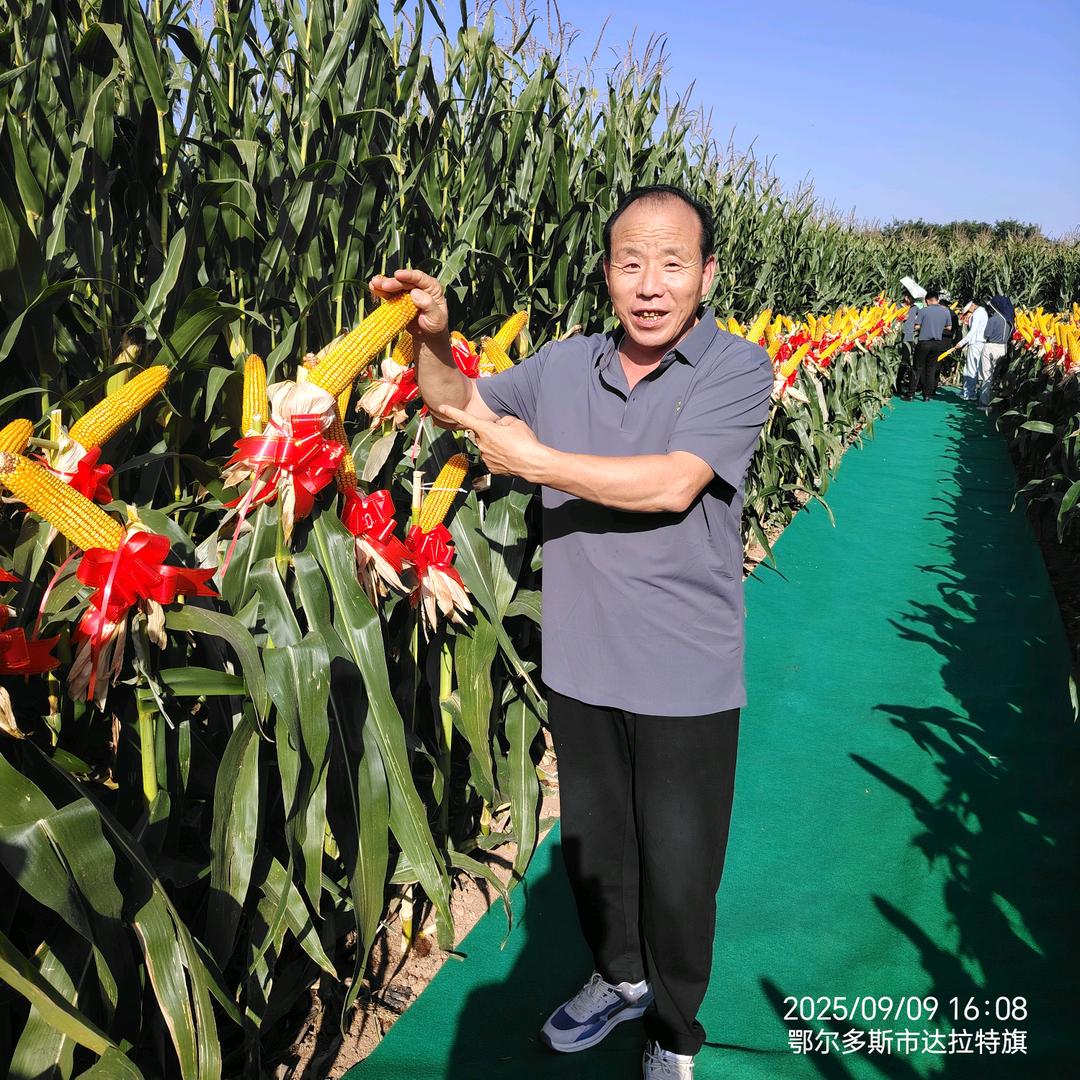 长子县南苏村种子哥郭朝日