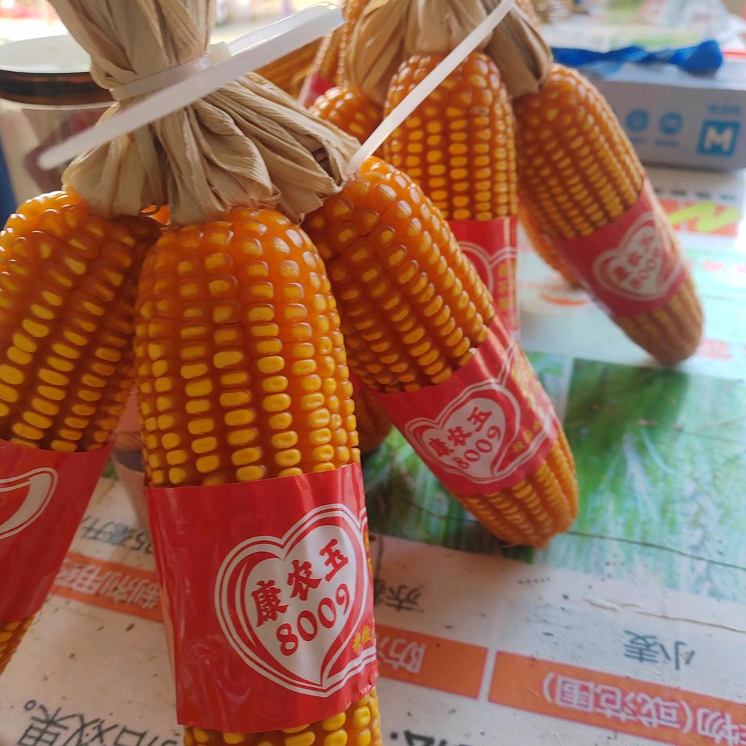 朱口朱慧农资店