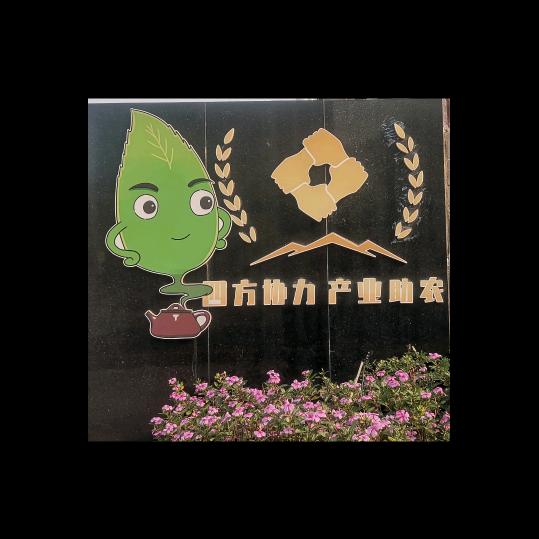 开春茶叶