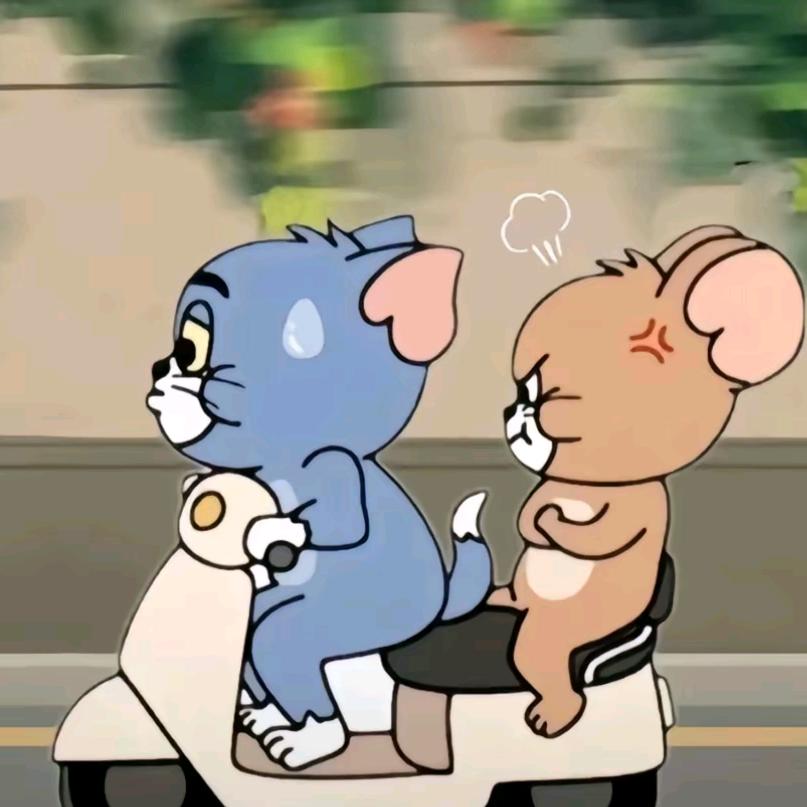 🧸🍃☾⋆小熊⋆🧸⪩.