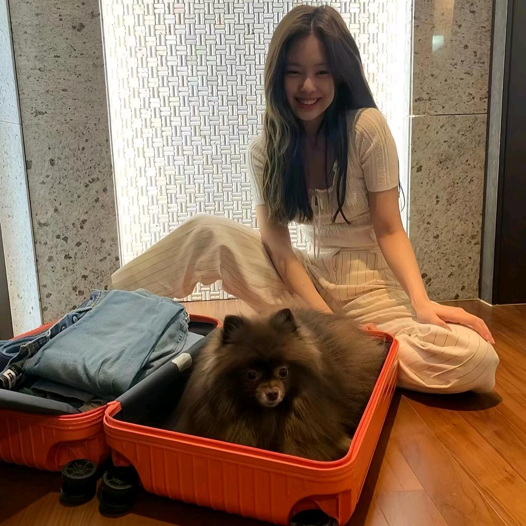 ᰔᩚ사이다🐾🍢.