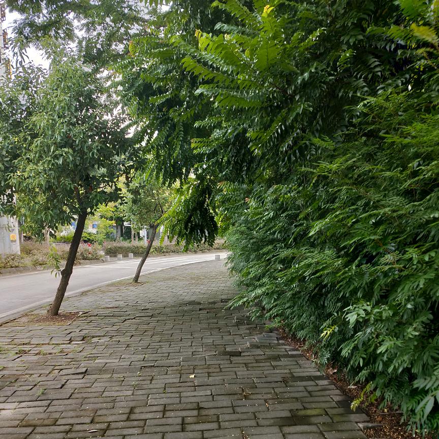 无所谓的沉默