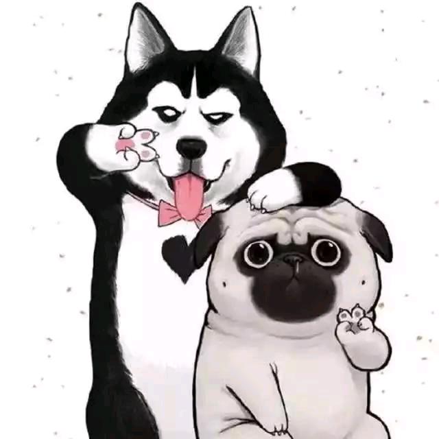 靖哥丶