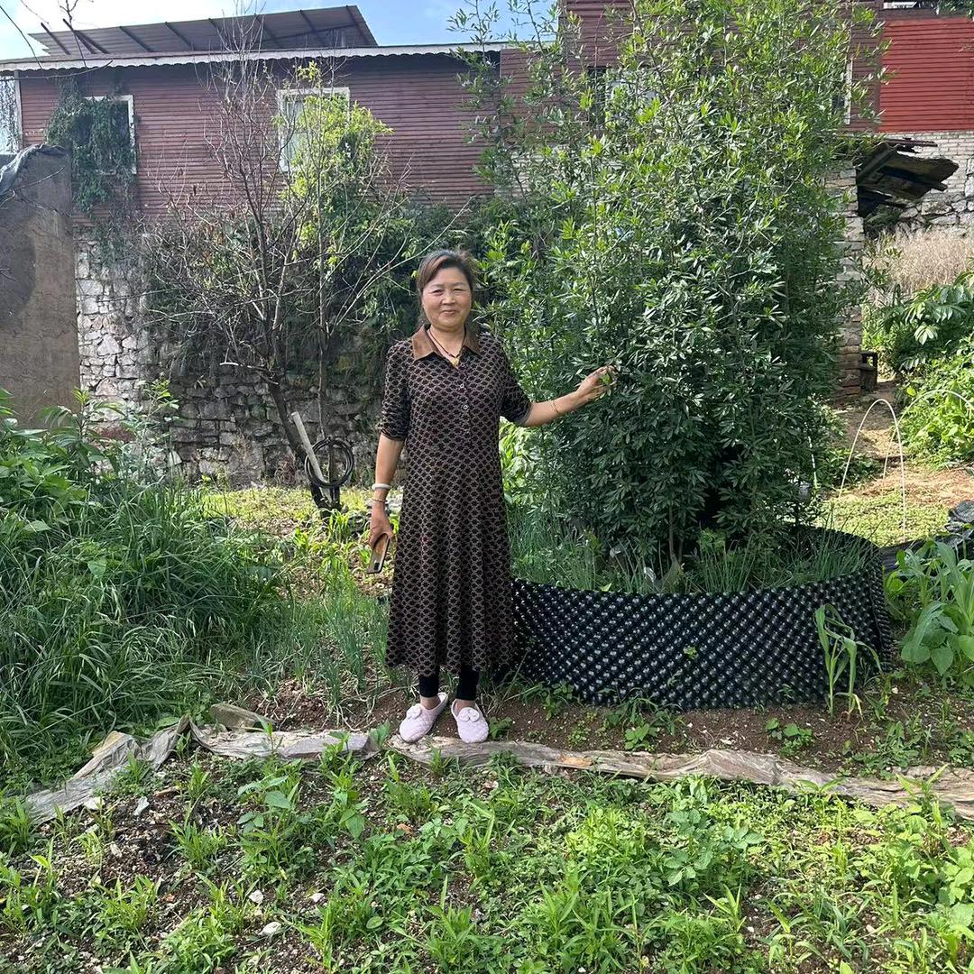 曾姐（每天中午1.16分开播）