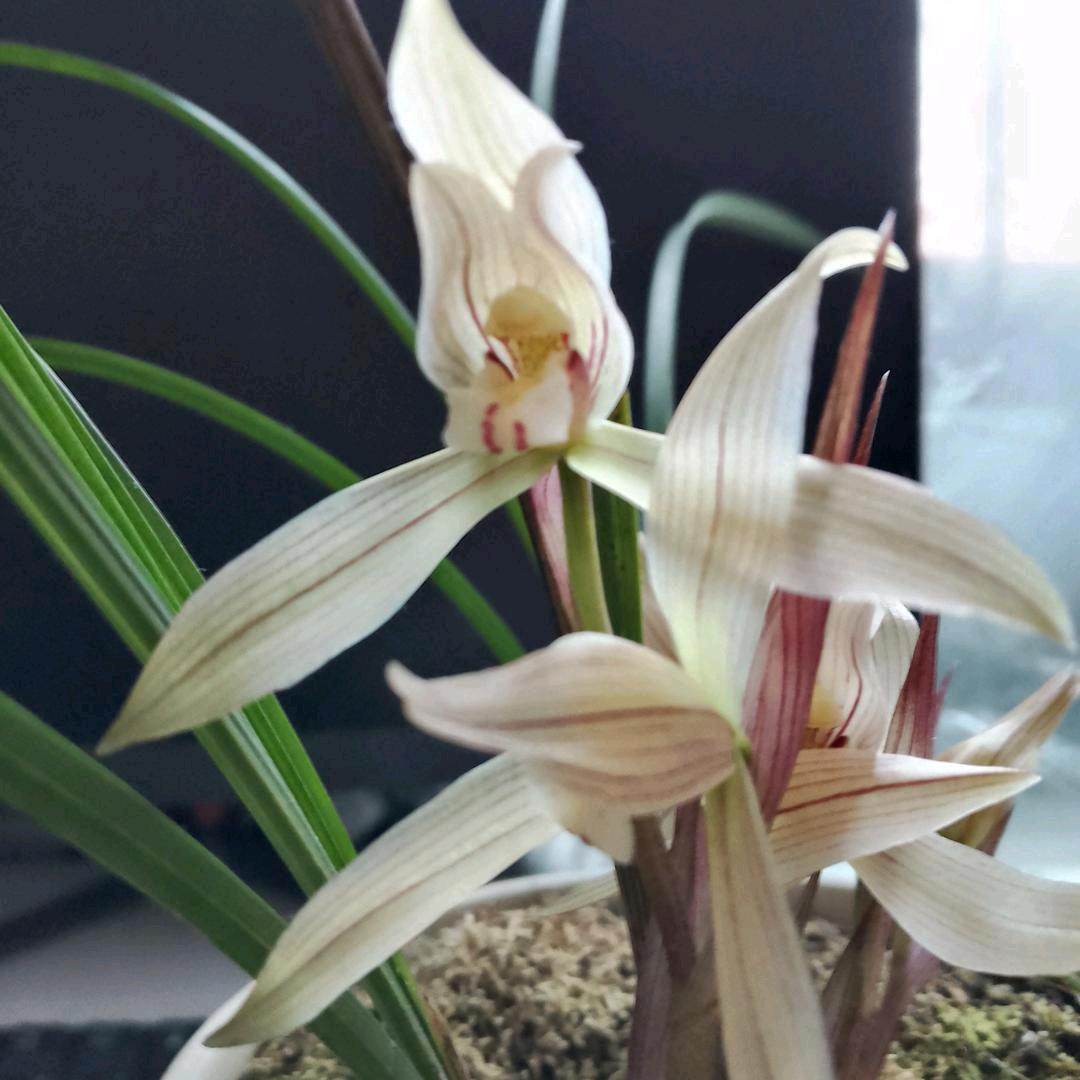 忘掉以前，从头开始