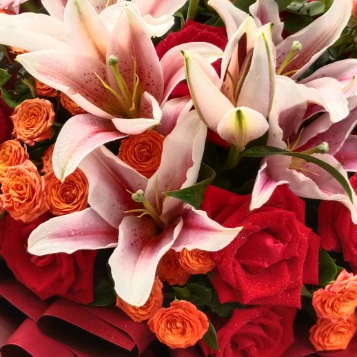 夜猫子👿👿👿👿👿