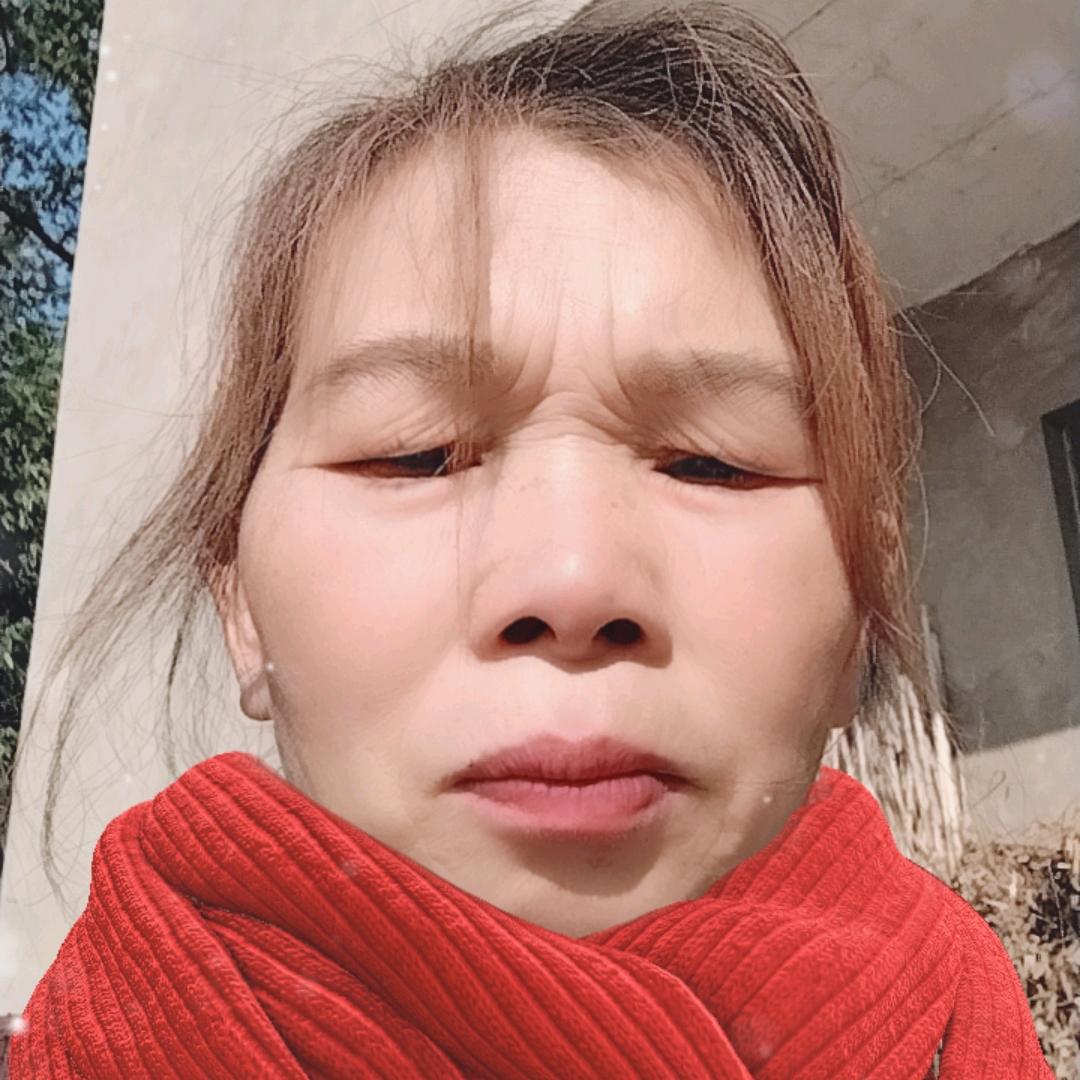 我是向姐