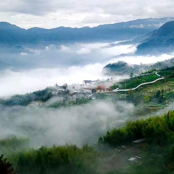 雷语馨