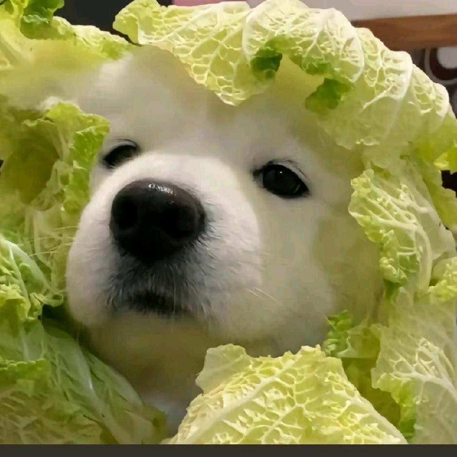 🌸️