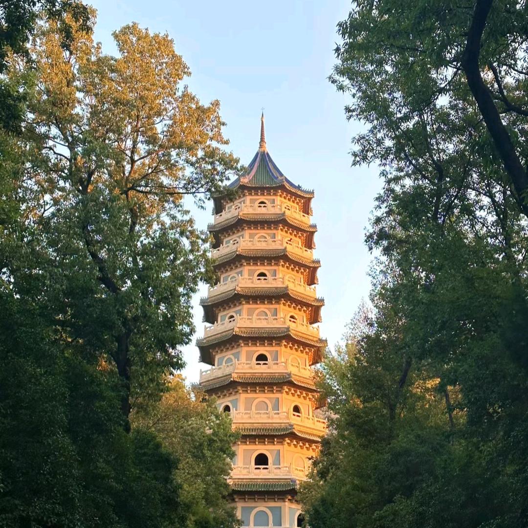 白板