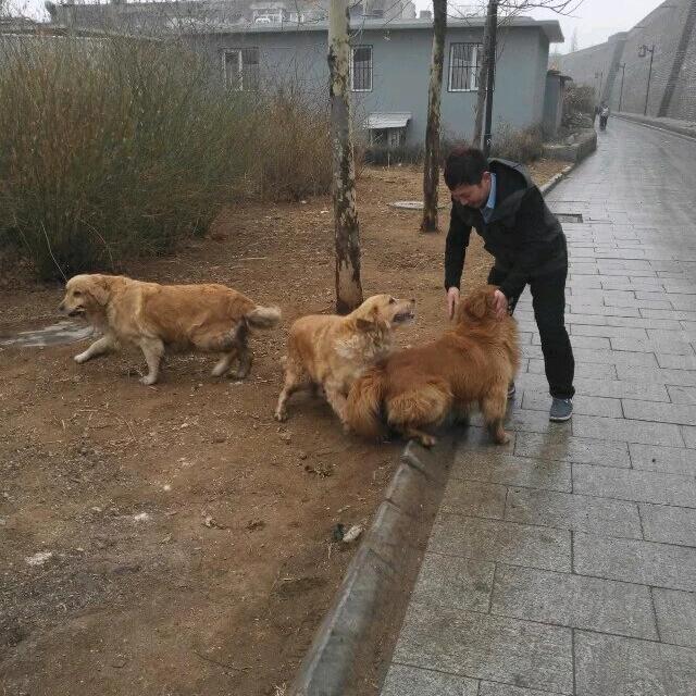 💕迷卐途知返ℒℴѵღ᭄💞