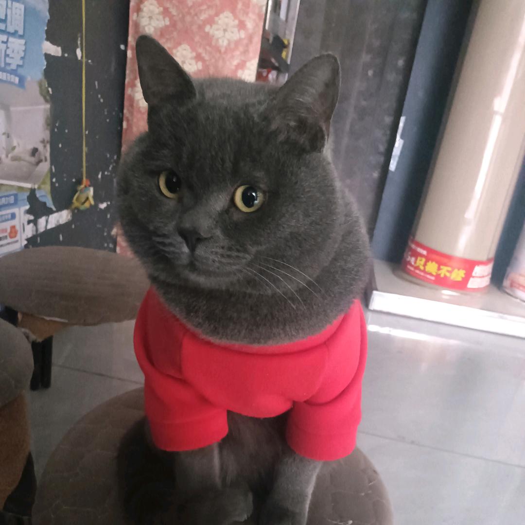 ꧁✮🥀⃟渡凡尘᭄✮꧂