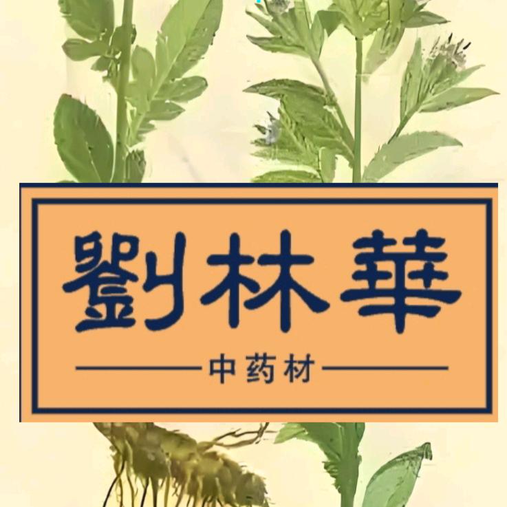 临汾药材☞刘林華