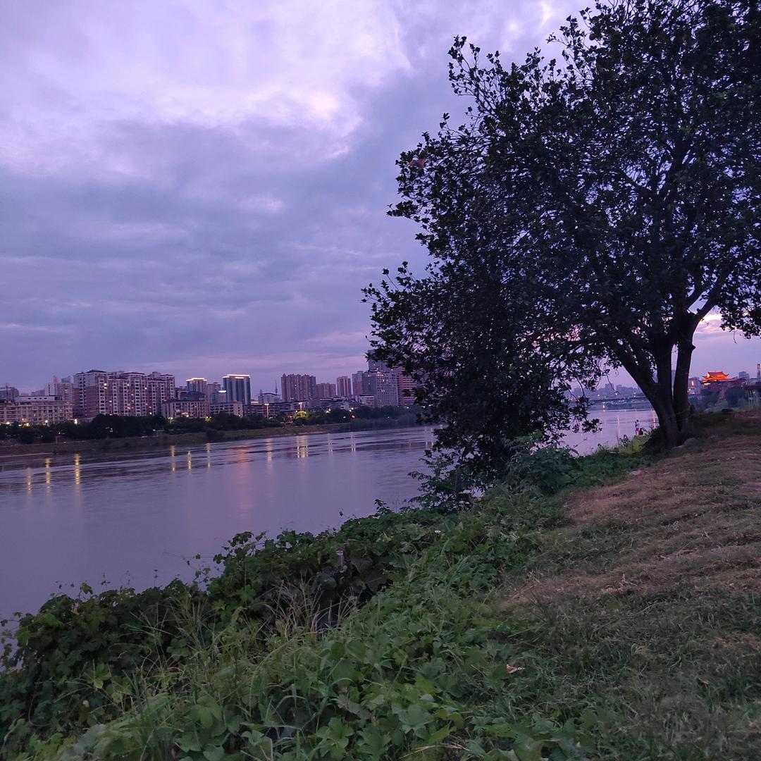 欲买桂花同载酒，终不是少年游